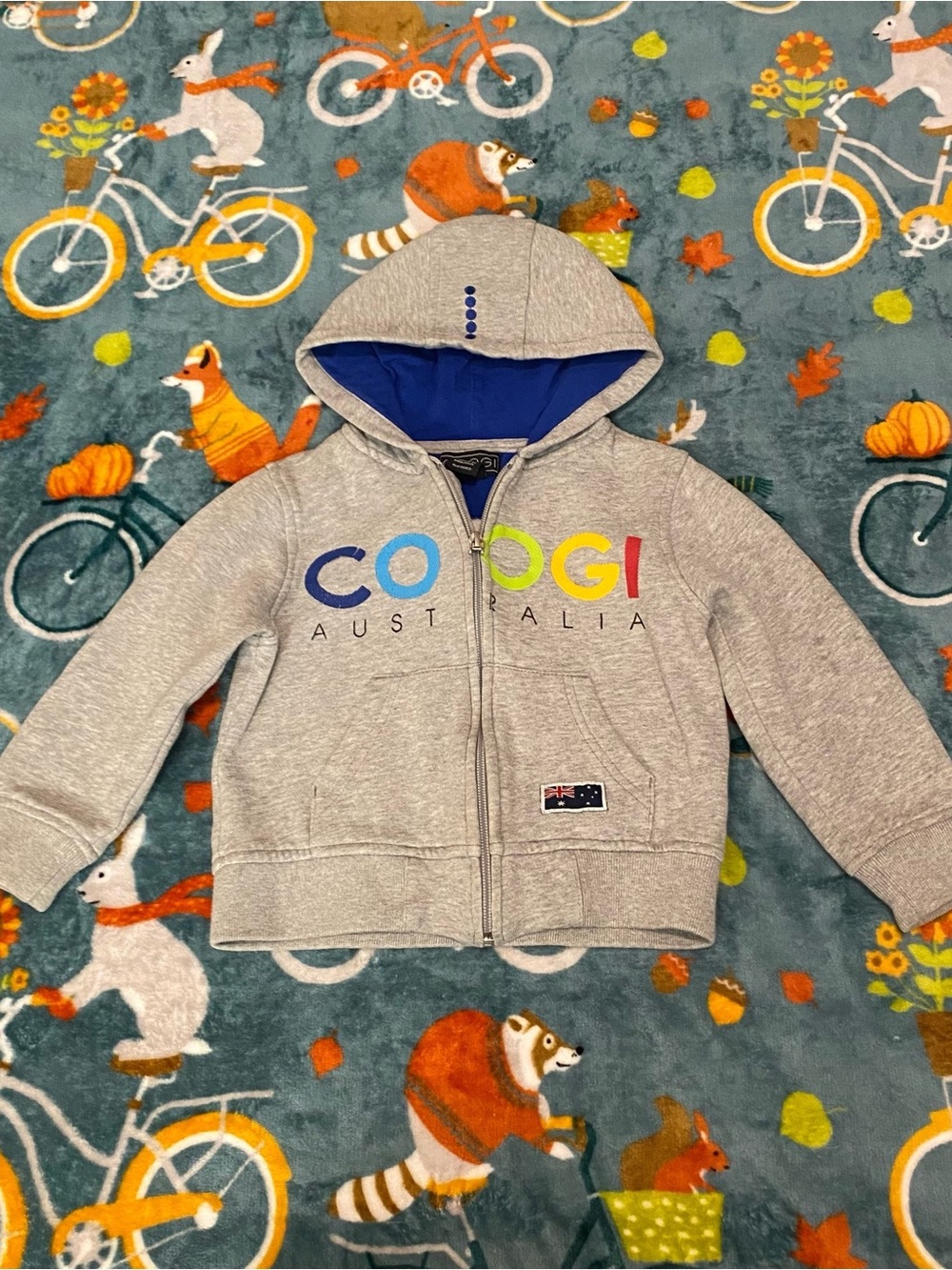 Coogi Australia Kids' Gray Zip Hoodie with Colorful Logo